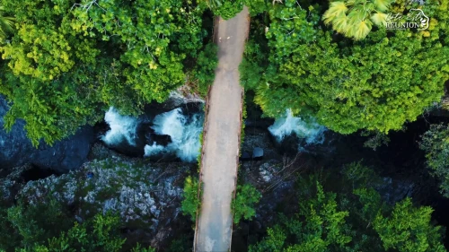 L'Est de La Réunion