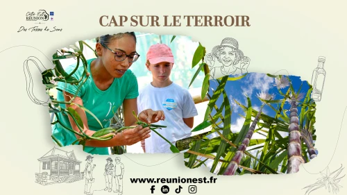 Cap sur le terroir dans l'Est
